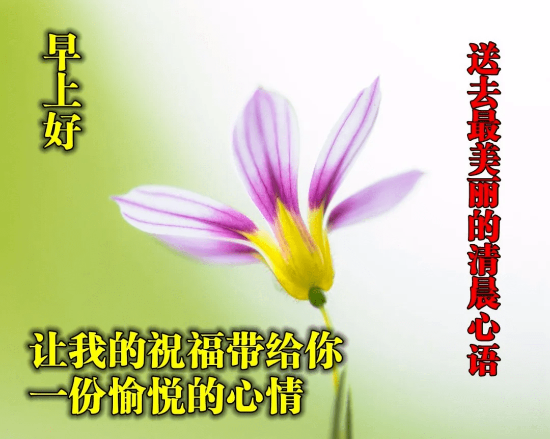 早上好圖片表情祝福語 週末早安祝福問候唯美圖片加句子