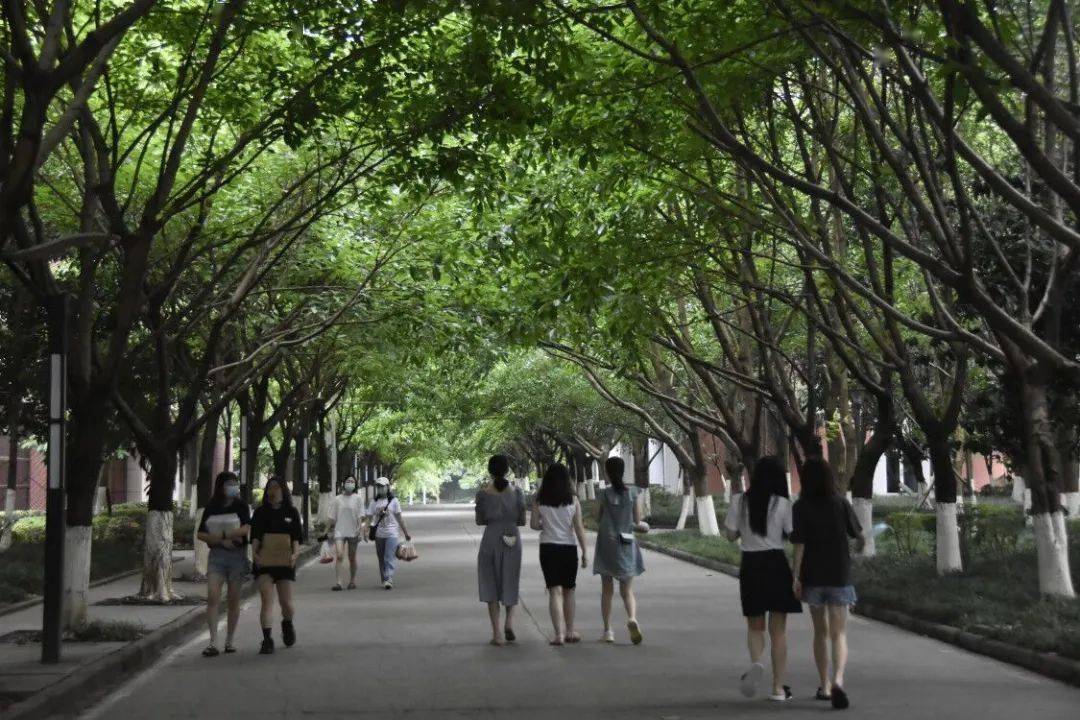 无数个有关夏天的文案,都不及这一刻的.