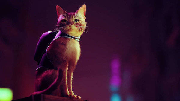 《stray》,时下大热的赛博朋克风格,以猫和机器人为主题的冒险游戏.