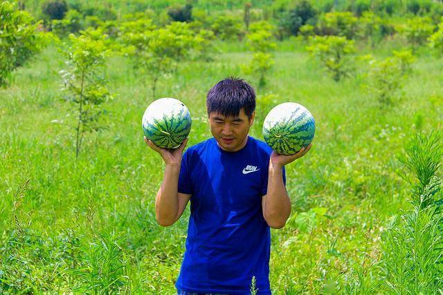 去大美庄园亲手摘个西瓜抱回家