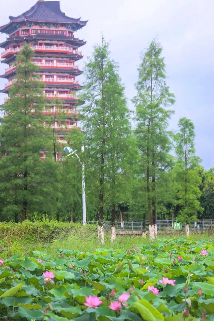 一江两岸白石湖滨海公园你可能错过了这些美景