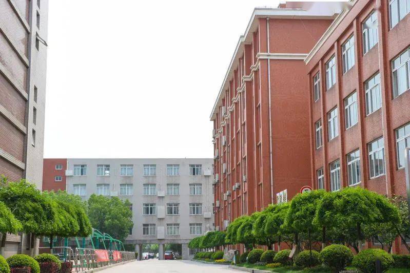 照片征集令 | 晒晒你定格的美好时光_顾村中学