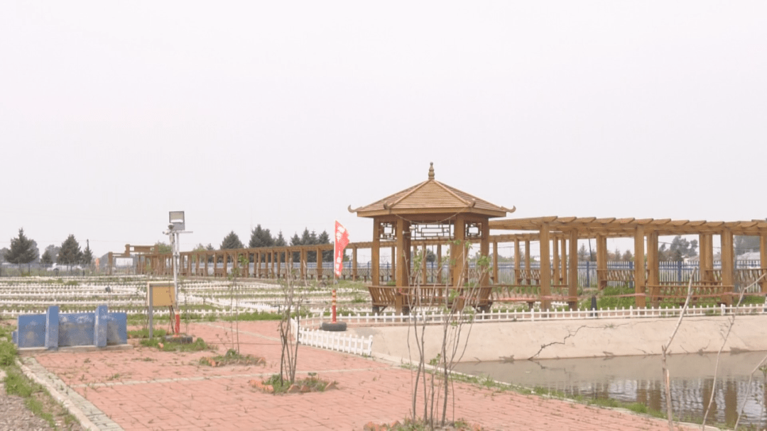 绥滨镇凤仪村:打造精品"咱家菜园"开启旅游兴村之路