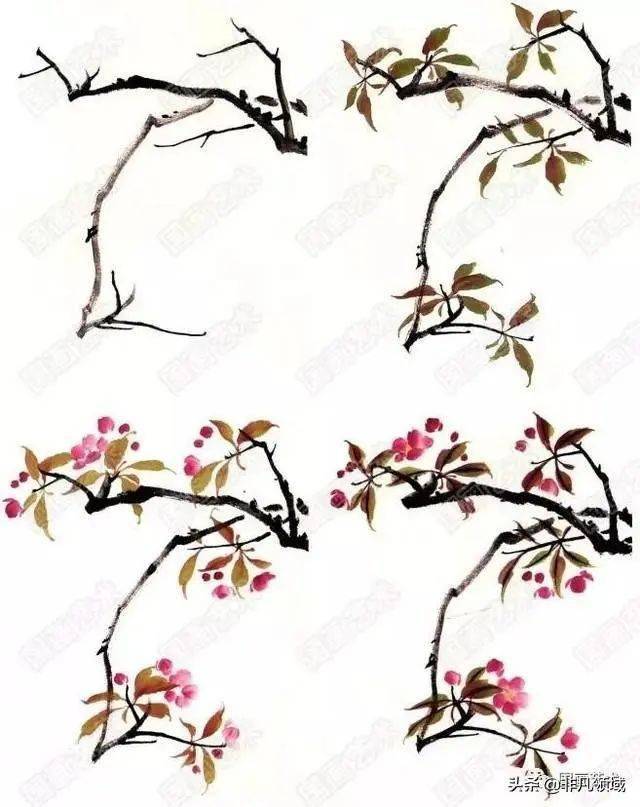 图文教程中国画入门之写意花鸟