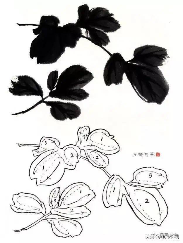 图文教程中国画入门之写意花鸟