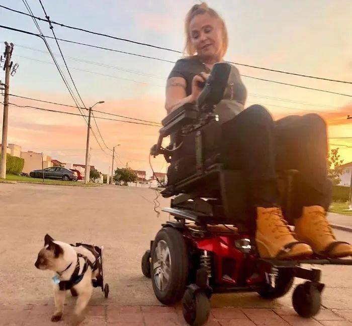 当四肢瘫痪的女孩遇见残疾小猫咪，就算坐轮椅也能环游世界啊！