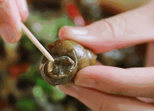 500_360gif 动态图 动图