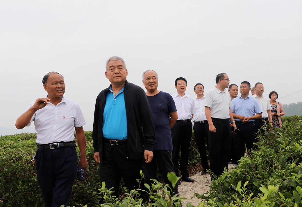 太康县委书记田林图片