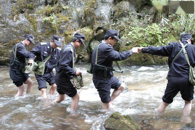 不懈奮進雲南森林公安這40年