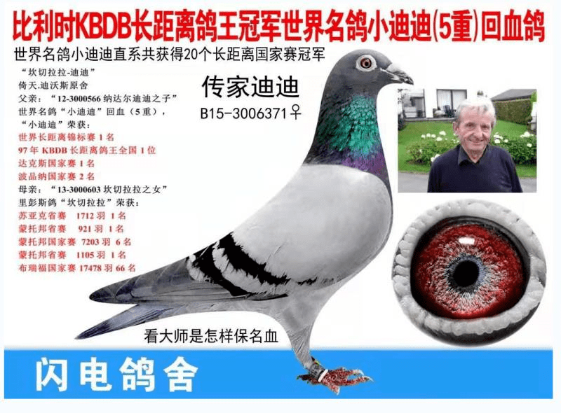 这个鸽舍造就了100多个冠军的和300多个前10名!