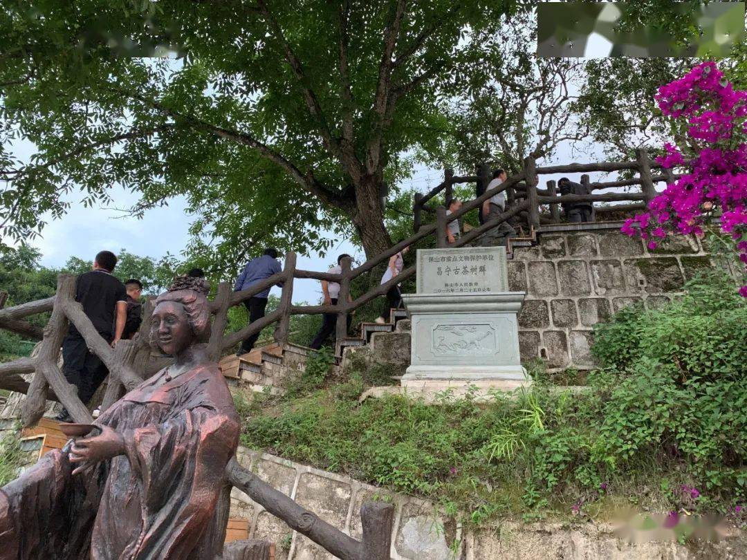 文旅动态省旅游景区质量等级评定委员会专家前往鸡飞温泉漭水黄家寨古