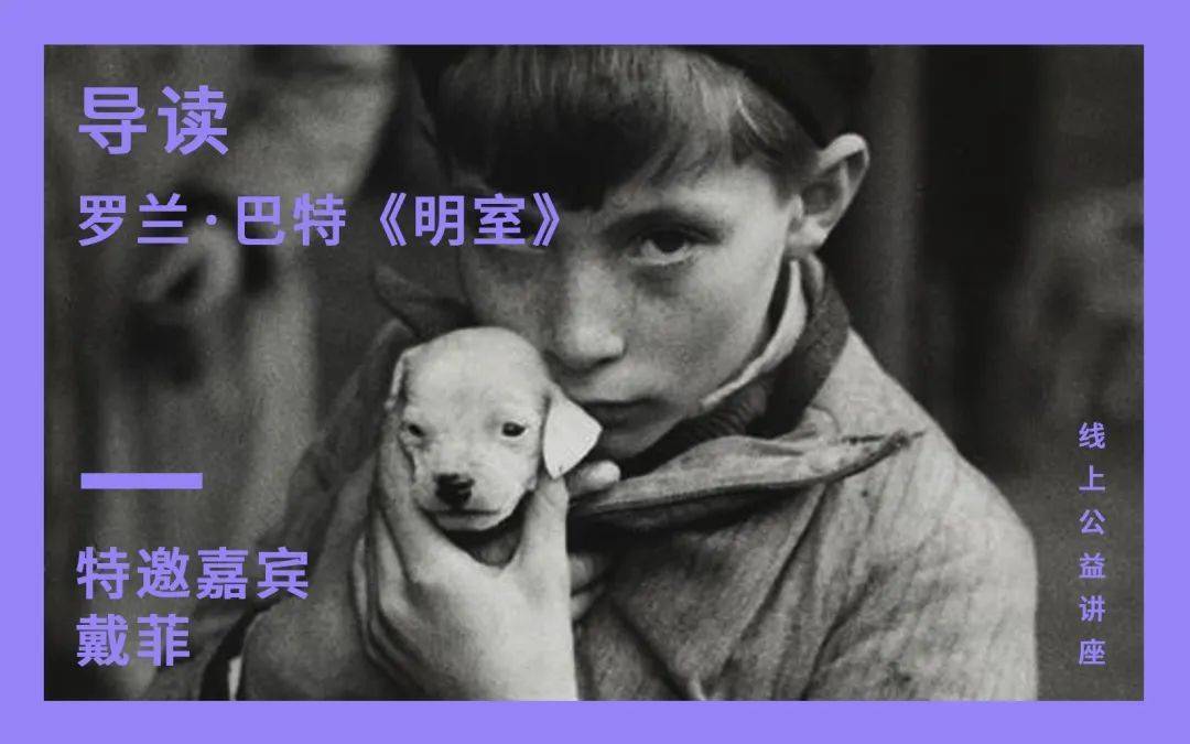 戴菲导读罗兰巴特明室公益讲座