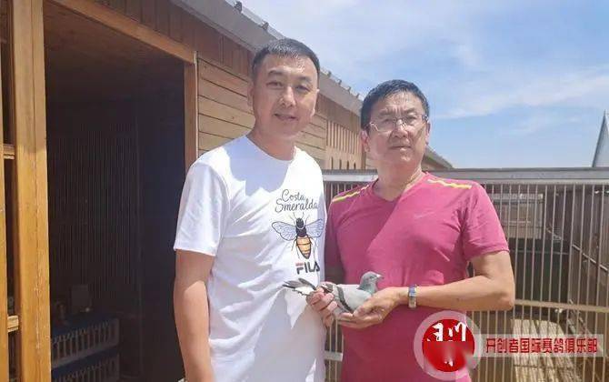 天津开创者四关综合前十名验鸽照片欣赏