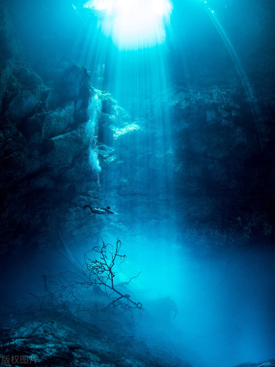 水下照片唯美图片