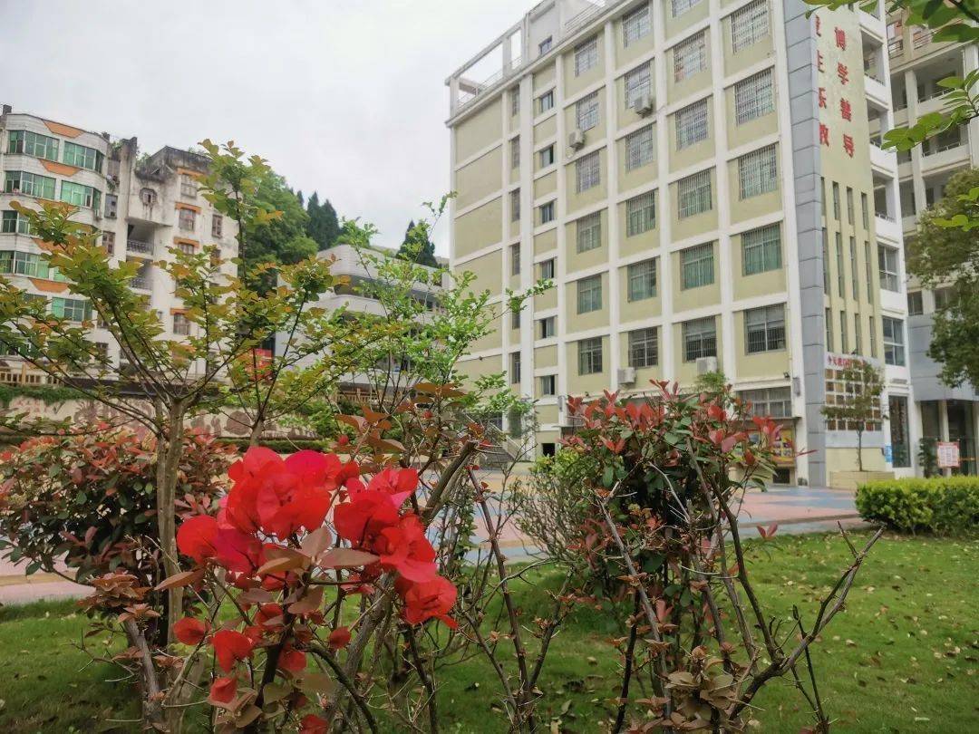 招生三明市特殊教育学校2020秋季招生开始报名啦