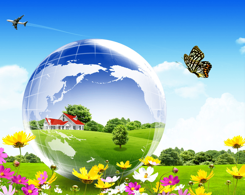 【街镇信息】北务温馨家园开展学习自然知识,感受自然之美活动