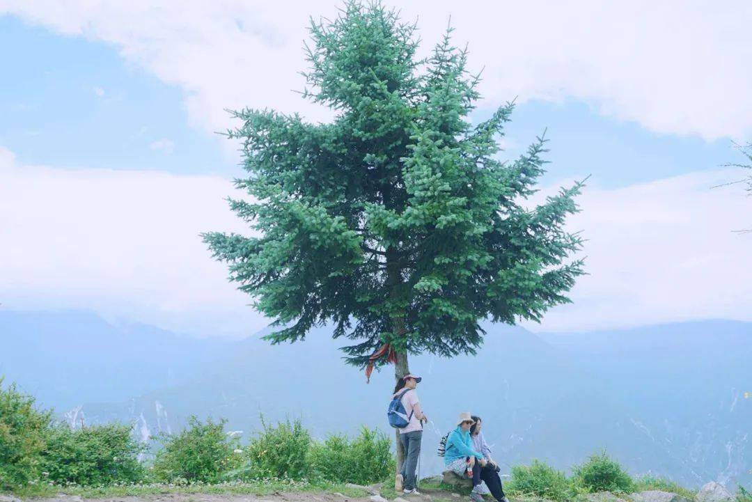 花开阡陌有良人在立613别立牧场掠影