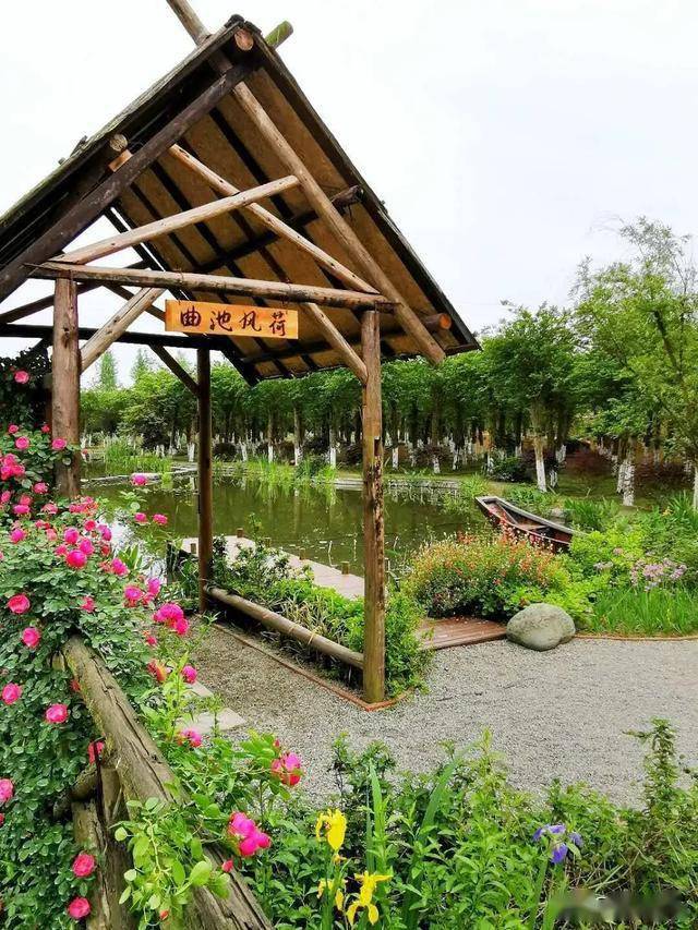 一眼心动在温江遇见万花拾景园