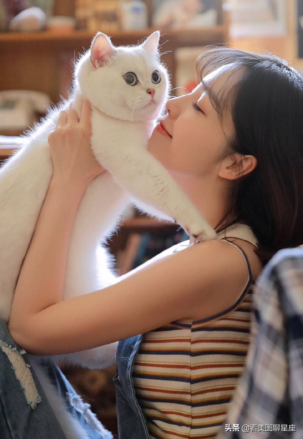 居家撸猫的可爱少女唯美写真图片集，猫和人选一个-搜狐大视野-搜狐新闻