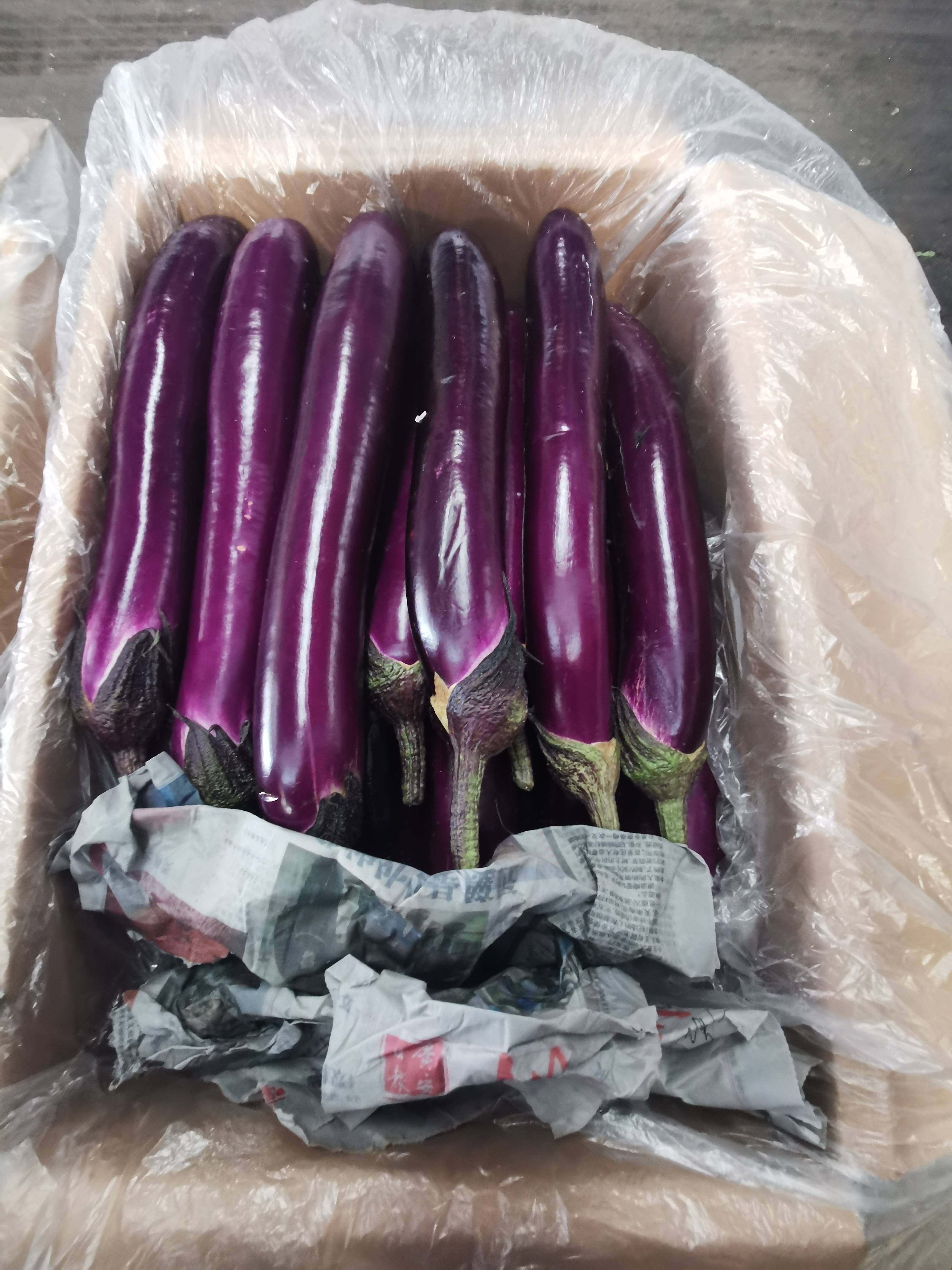 "茄子大王"李军:供应不减 集中供货改成产地直发分流