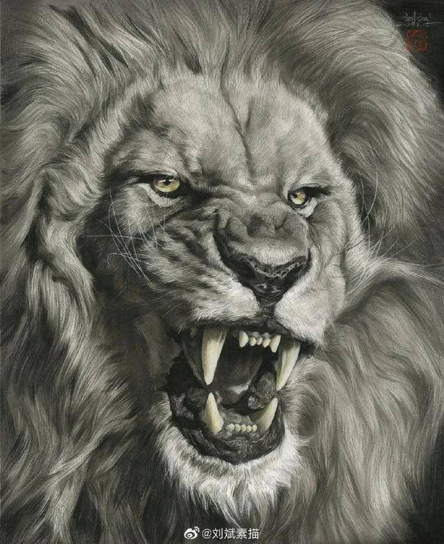 刘斌素描功底扎实的超写实临摹下来必有助益