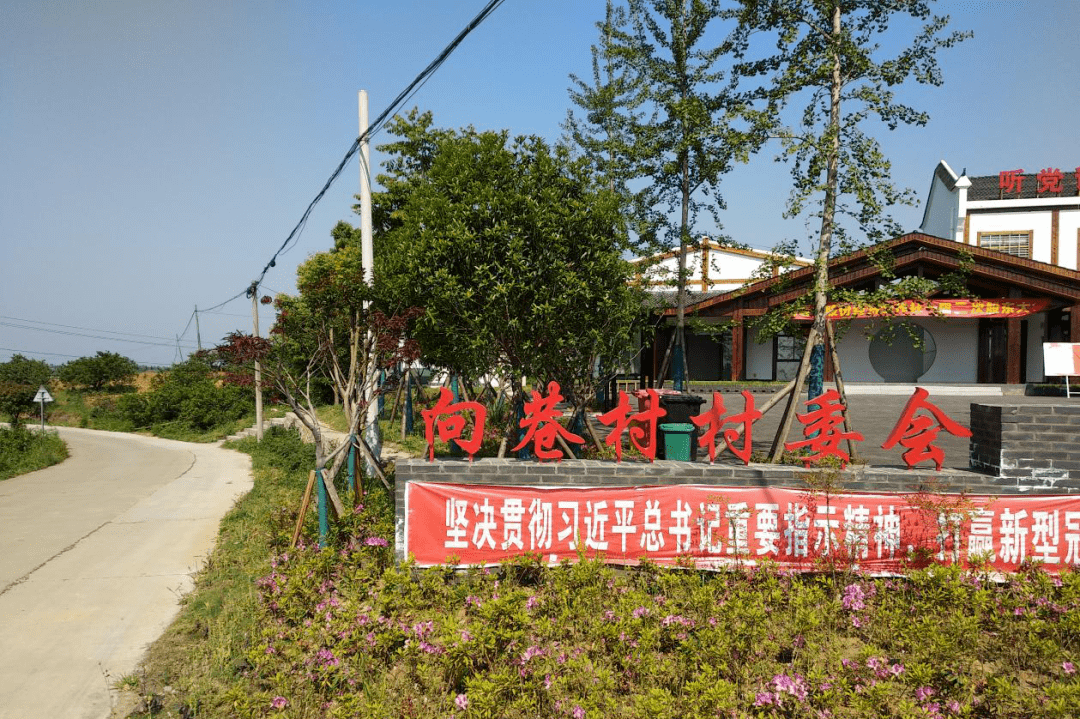 精准扶贫风从向巷来记枝江市仙女镇向巷村党支部书记周代年同志二三事