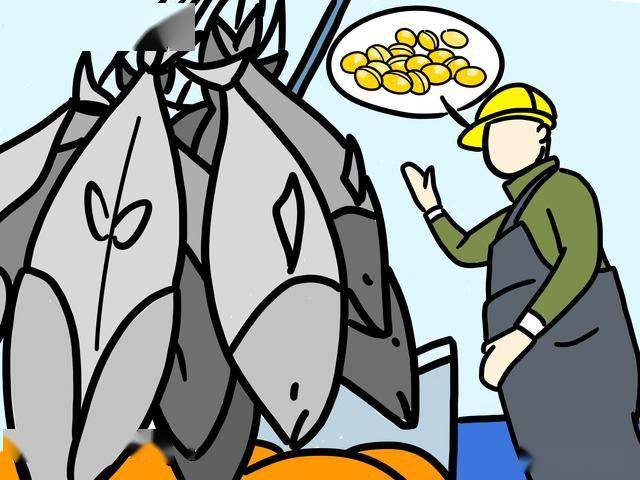 从狗粮中的鱼油谈到海洋生态:什么才是鱼油优质的替代品?