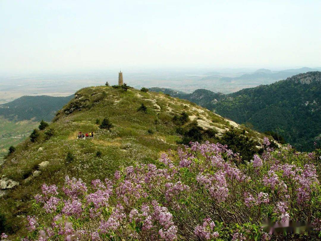 《闾山云雾》《青岩寺风景区》《大芦花风景区》《高标北镇》《采风》