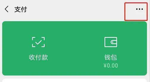 苹果支付设置在哪里_苹果支付设置在哪里扣的钱_怎么取消苹果支付设置