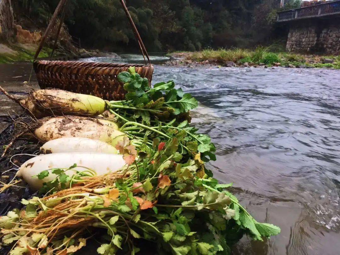 重识中国·诸暨斯宅 | 摘果摘菜,真·向往的生活