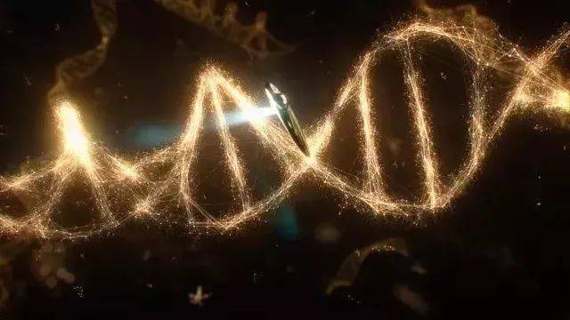 学工放映室| 纪录片安利(三)_科学性