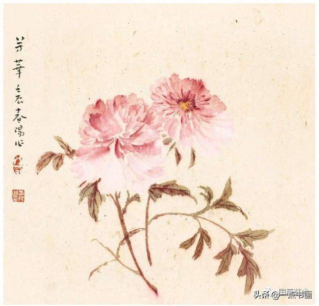 霍春阳花鸟写生作品辑录分享