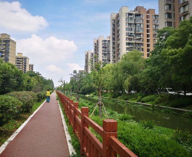 新增4条滨河步道,打造四季有景的滨水空间……松江这里的河道变化你期