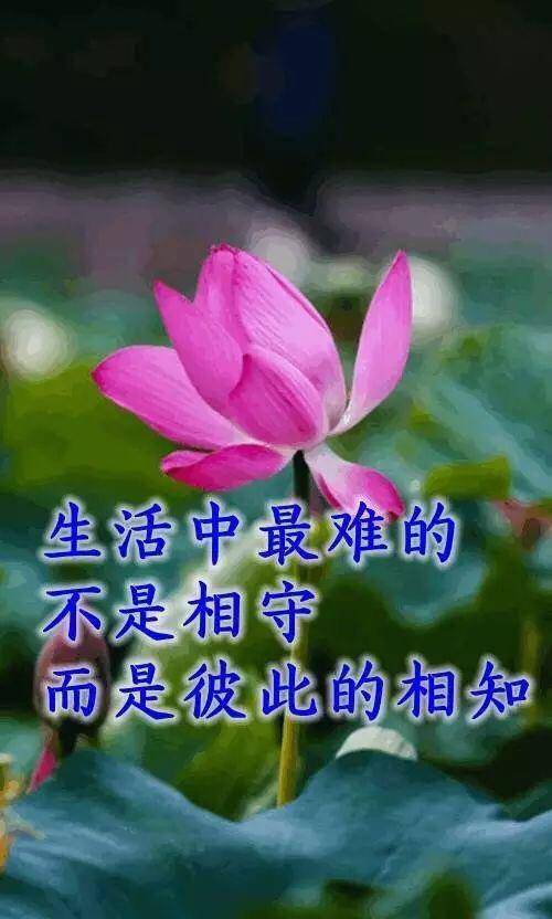 时间,带走生命过客,留下的却是真心人