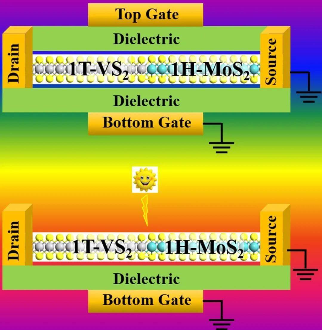 发表了题 为"multifunctional lateral transition-metal disulfides