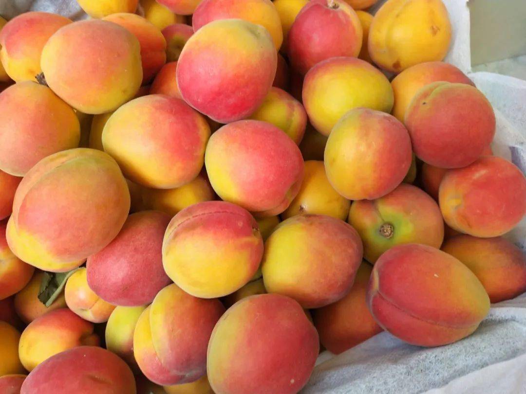 精品荔枝6.8元每斤,陕西贵妃杏3斤9.8元.市区1小时配送到家.