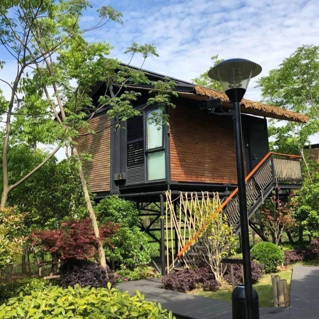 上海8大露营地指南周末不出沪来场度假