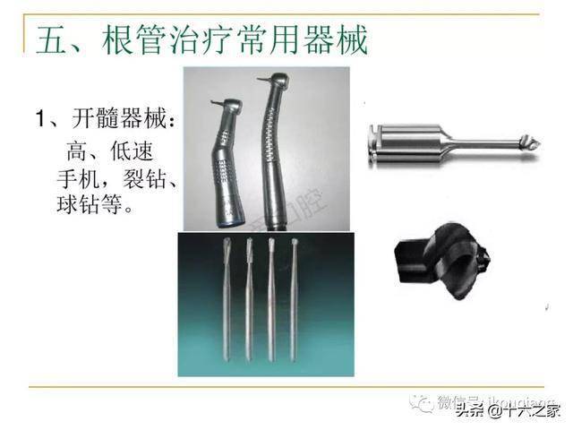 牙体髓腔解剖系统开髓开髓洞型及根管常用器械的认识和使用