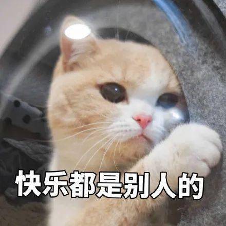 快乐都是别人的_表情