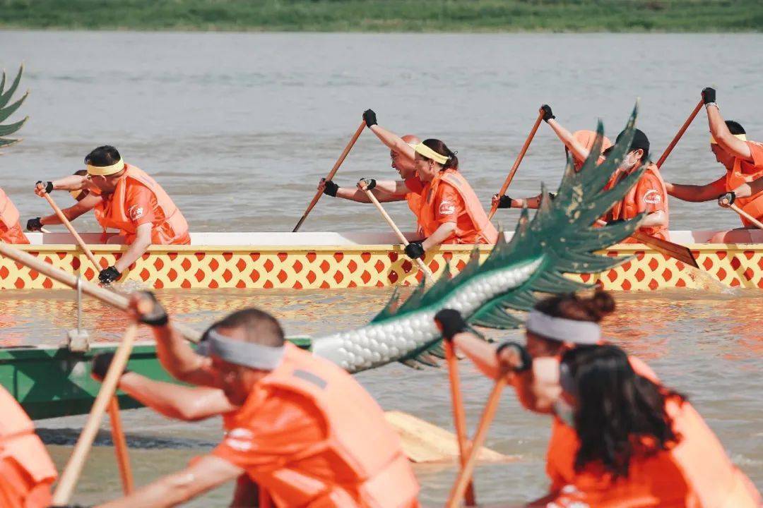 金龙稻-金龙优,-全能稻-荃优907,懿香王牌-宜优1787,晶灵