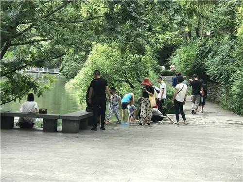 公園河邊納涼受歡迎這些不文明現象依然存在