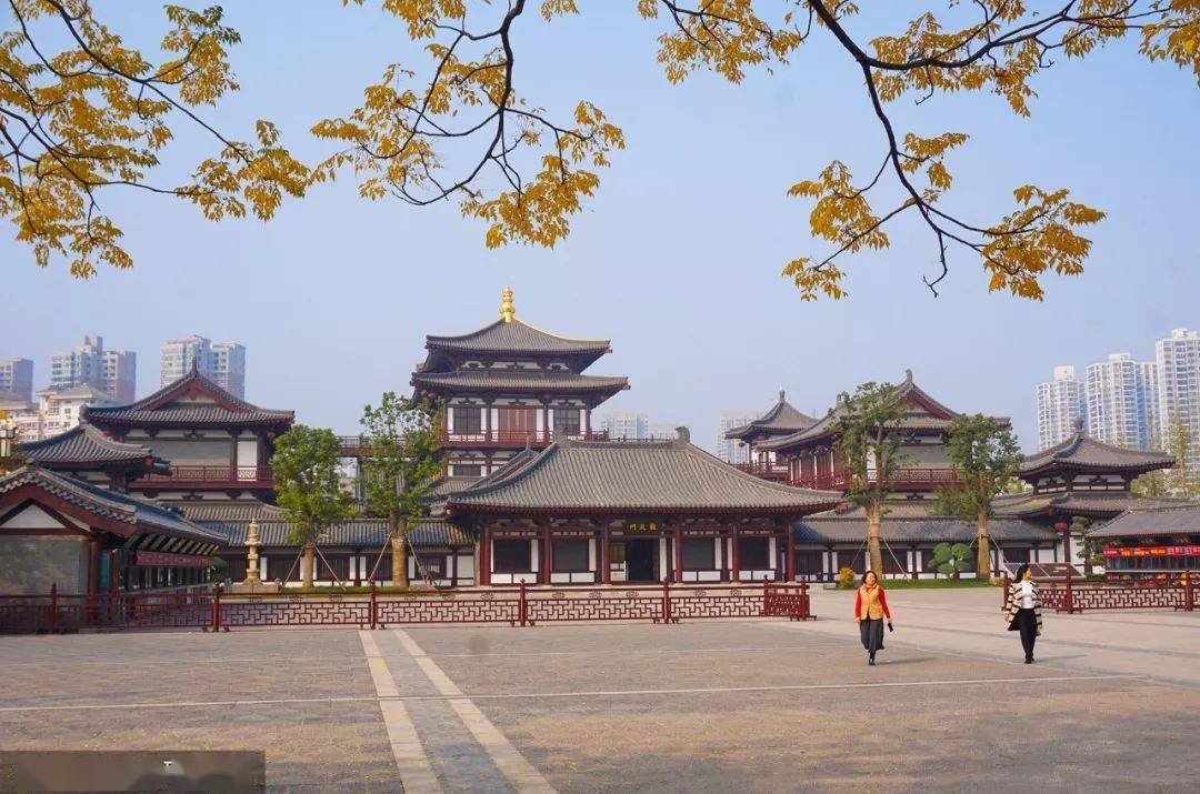 涉及西工,涧西,洛龙._洛阳