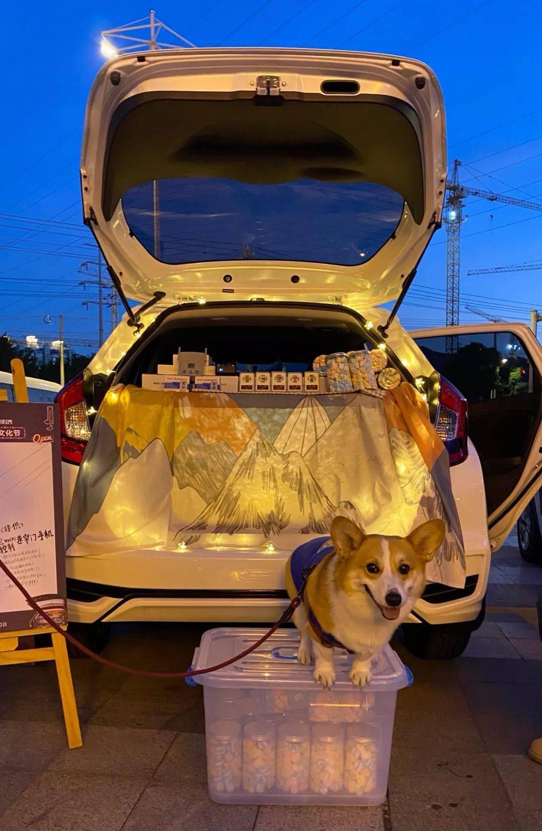 开逛!漳州百余汽车后备箱"练摊"夜市文化节_搜狐汽车_搜狐网