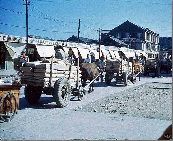 50年代的台湾街巷,物质匮乏,破旧简陋