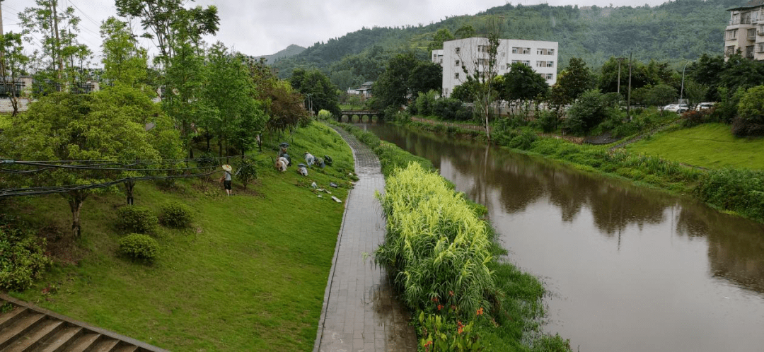 大足區園林管理所正式接管瀨溪河城區段沿岸綠化帶養護管理工作