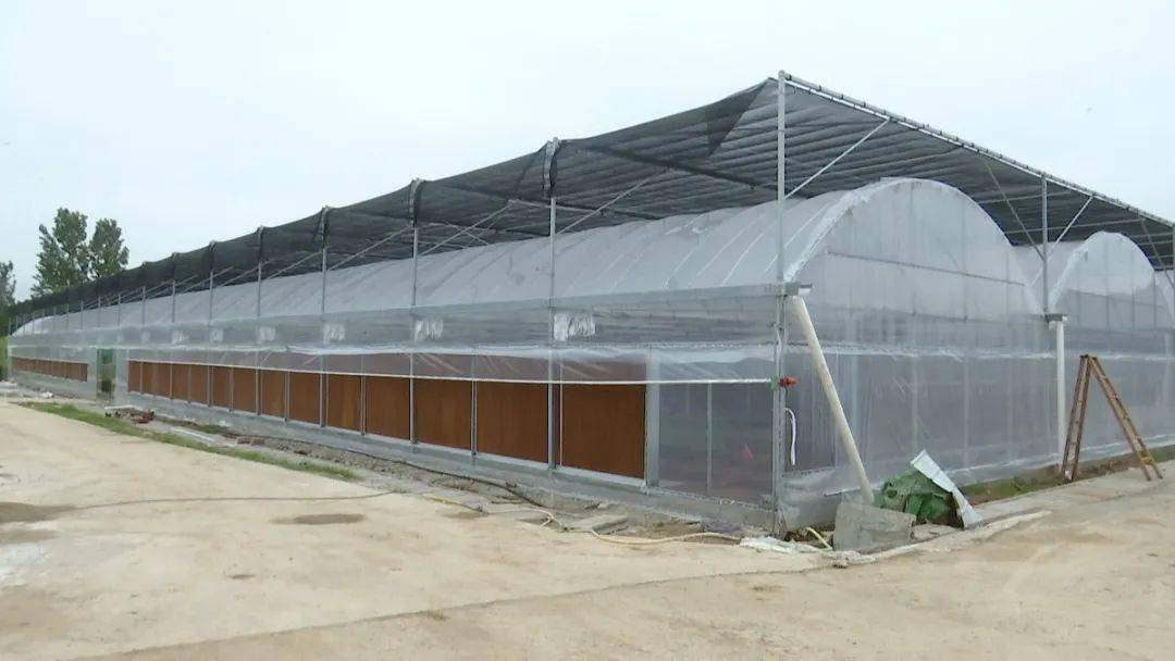 日处理餐厨垃圾30吨钟祥市养殖黑水虻实现餐厨垃圾无害化资源化处理