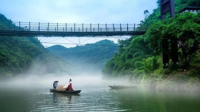 桫椤湖国家湿地公园图片