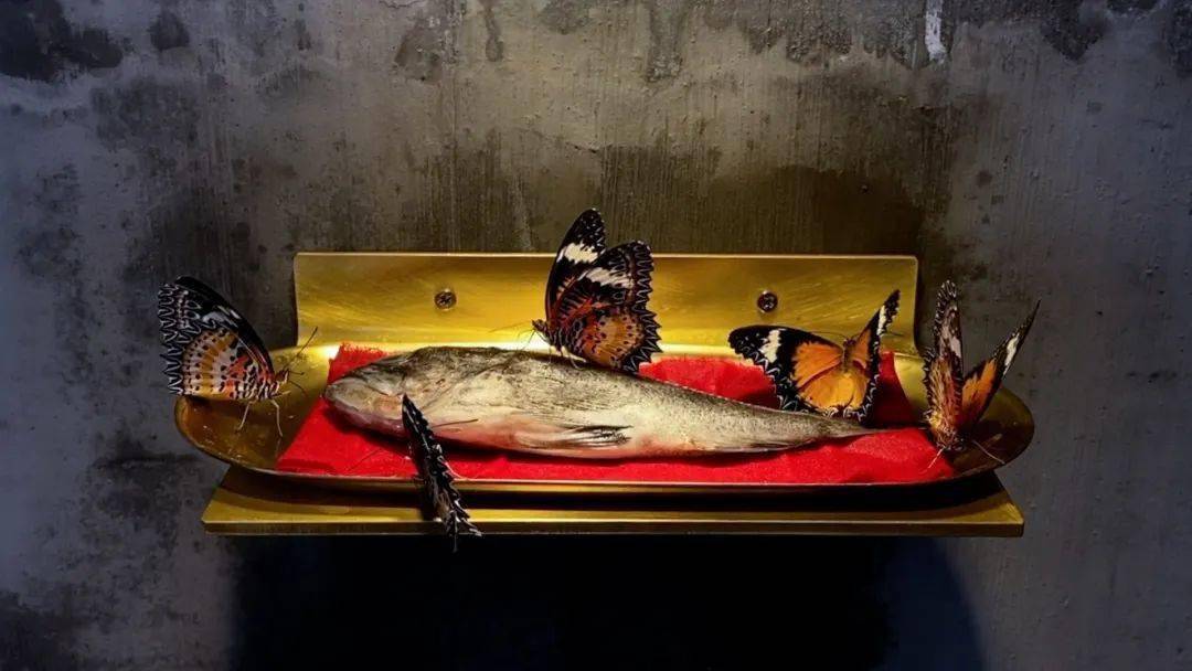 2020中央美院线上毕业季丨微展厅·本科生/造型学院版画系