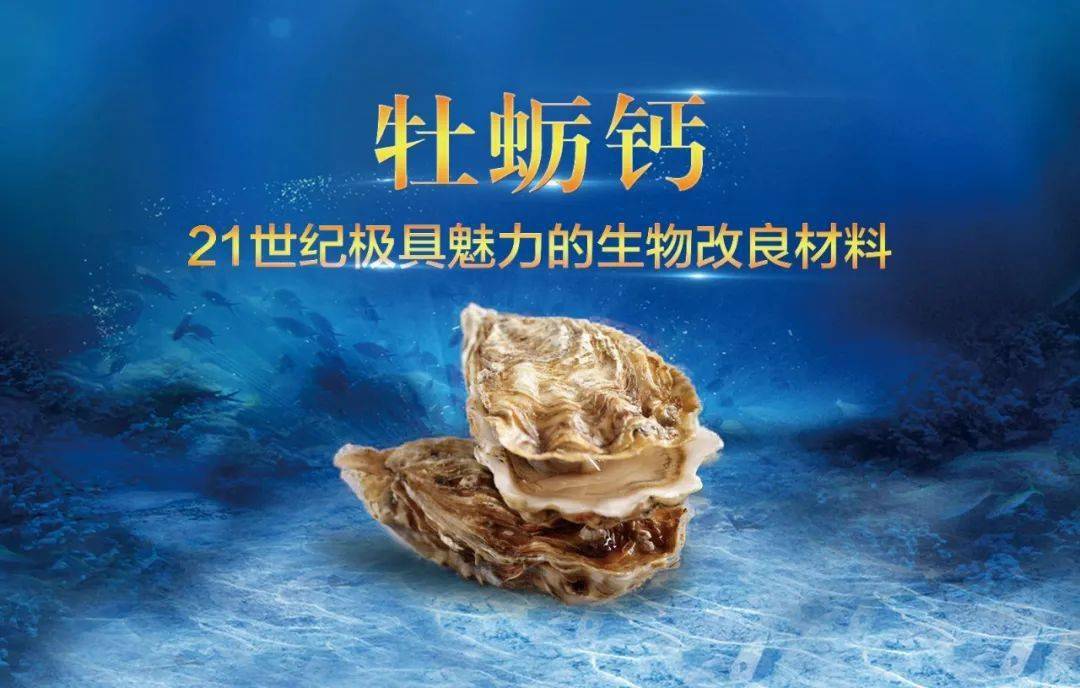 玛塔牡蛎钙中科集团王筱静副总裁一行来访玛塔股份