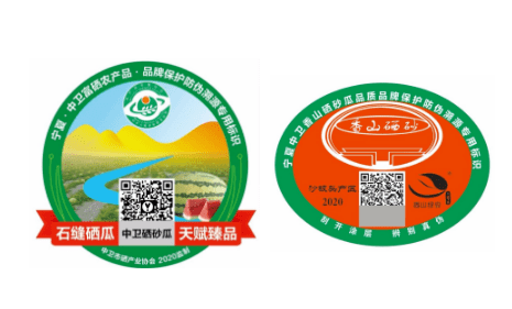 六月份能吃上硒砂瓜?别又被骗!!!_中卫